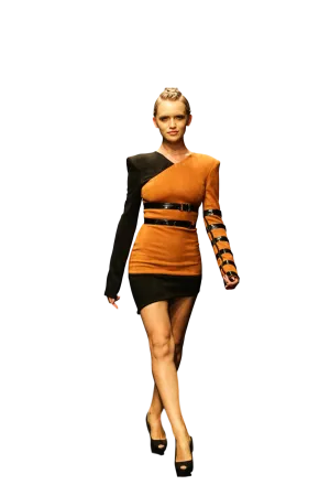 CYGNUS Look 4