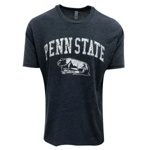 Sale - Tri Blend Lion Shrine T-Shirt