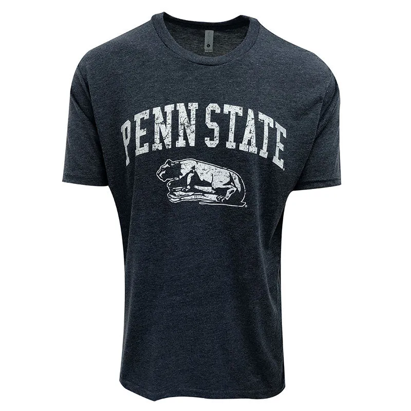 Sale - Tri Blend Lion Shrine T-Shirt