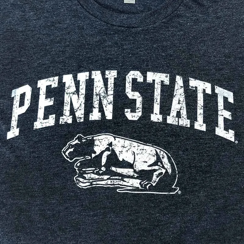 Sale - Tri Blend Lion Shrine T-Shirt