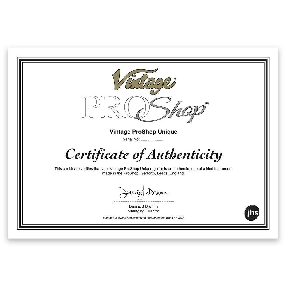 Vintage V52 ProShop Unique ~ Black Icon with Bigsby